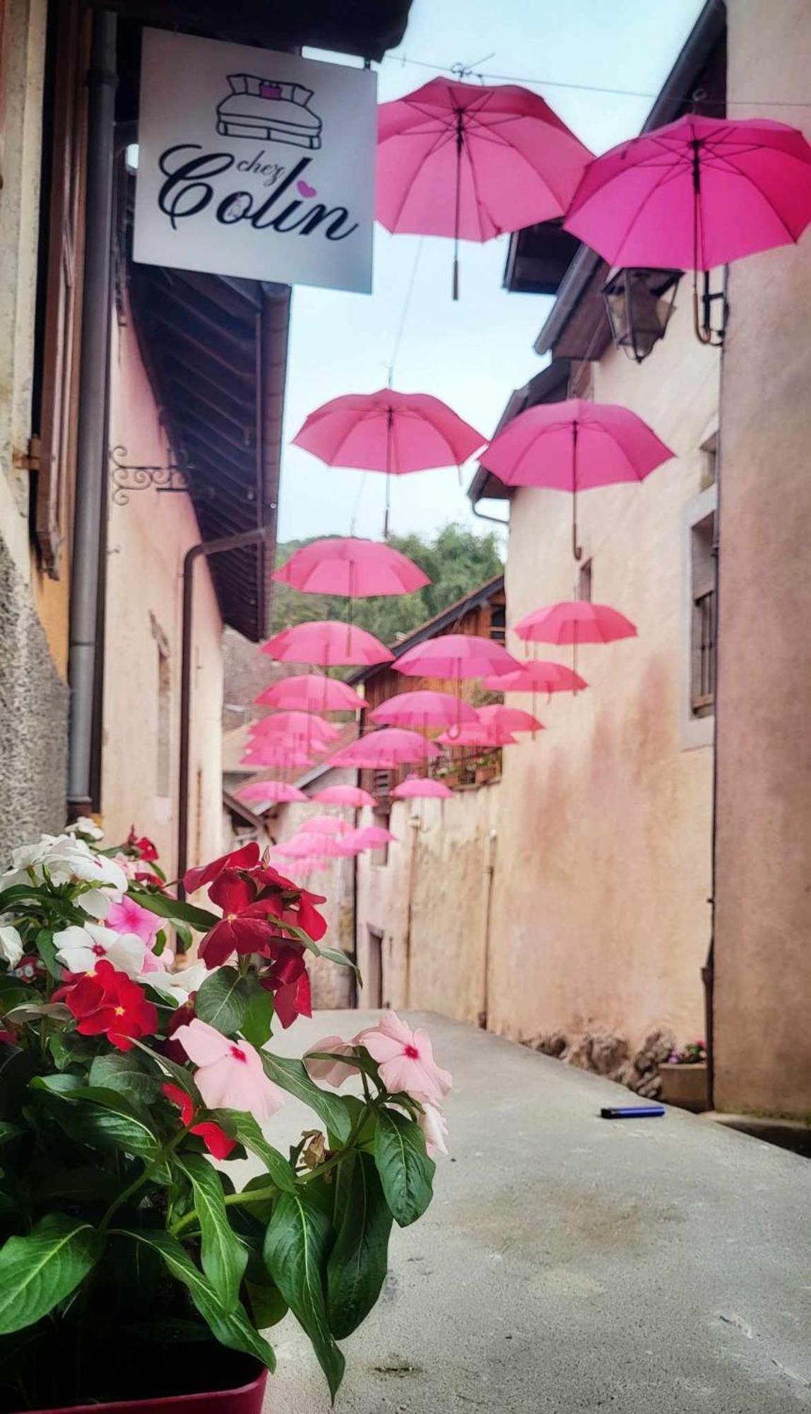 Bed and Breakfast Le Doux Nid Chanaz Exterior foto